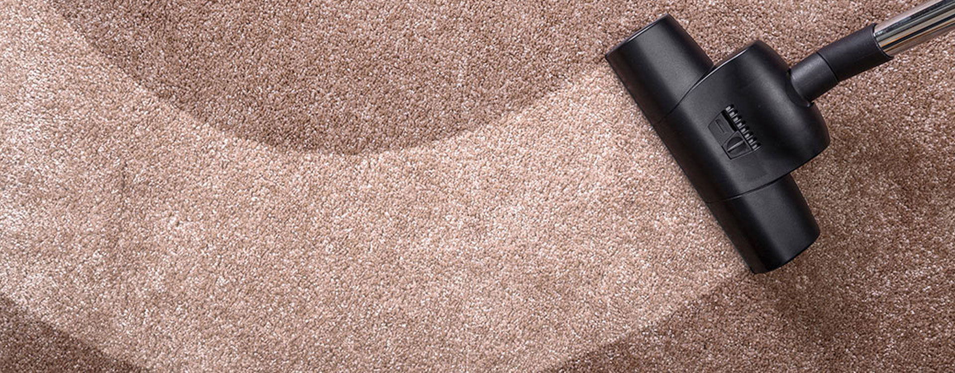 professional carpet cleaner Anchorage